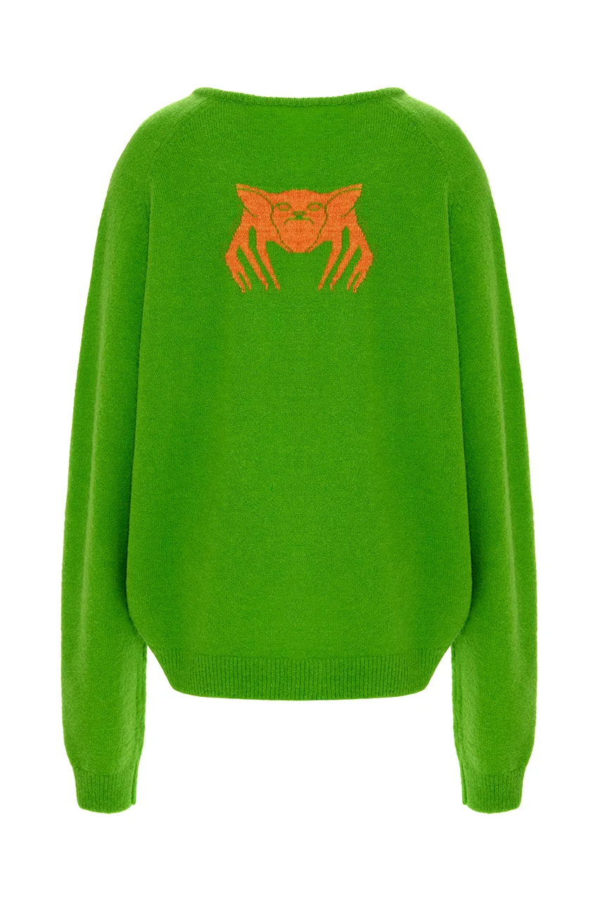 Мапельсиновые сады приносят плоды и зимой и летом. Из листьев этого дерева в Италии создают нитки из которых и связан свитер.