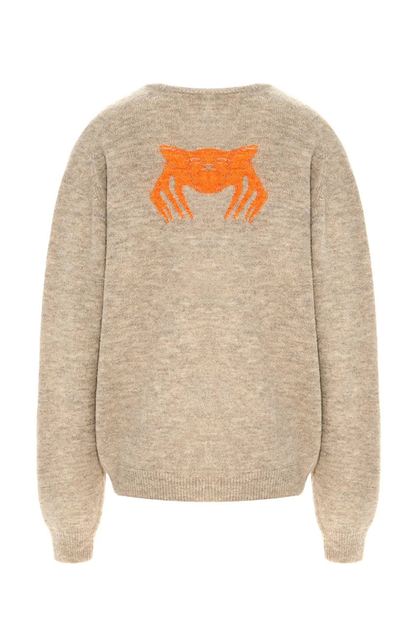 Мапельсиновые сады приносят плоды и зимой и летом. Из листьев этого дерева в Италии создают нитки из которых и связан свитер. Свитер с апельсином, мапельсин Vereja.